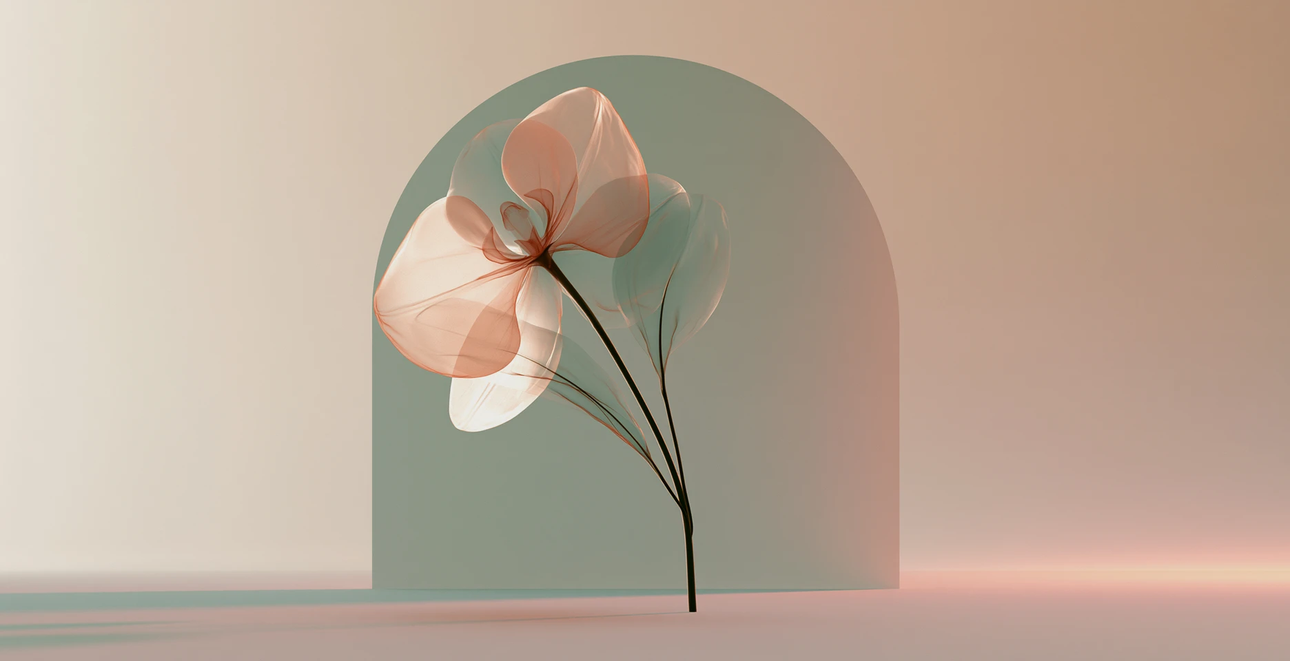Palette Facial Lifting 배경