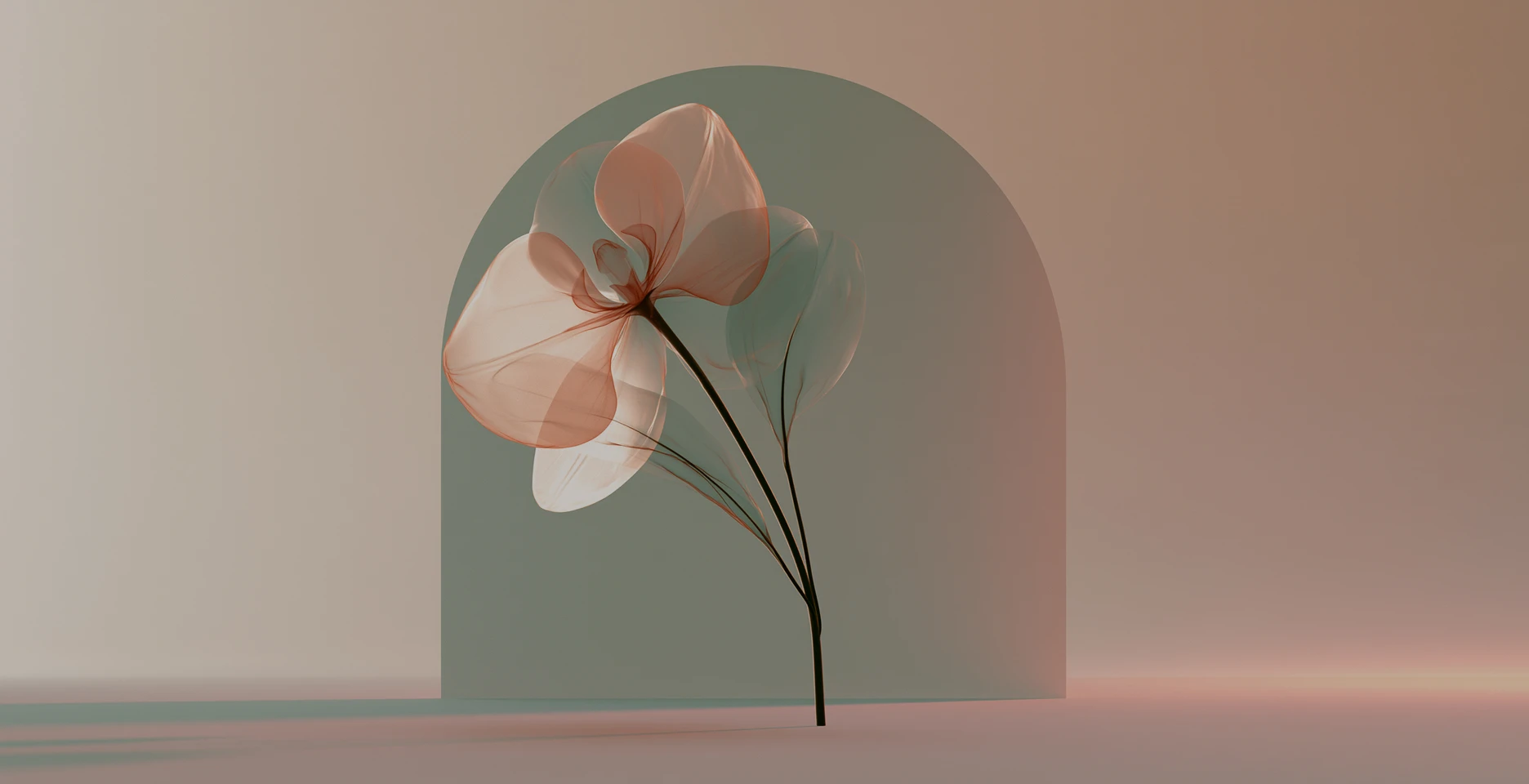 Palette Facial Lifting 배경